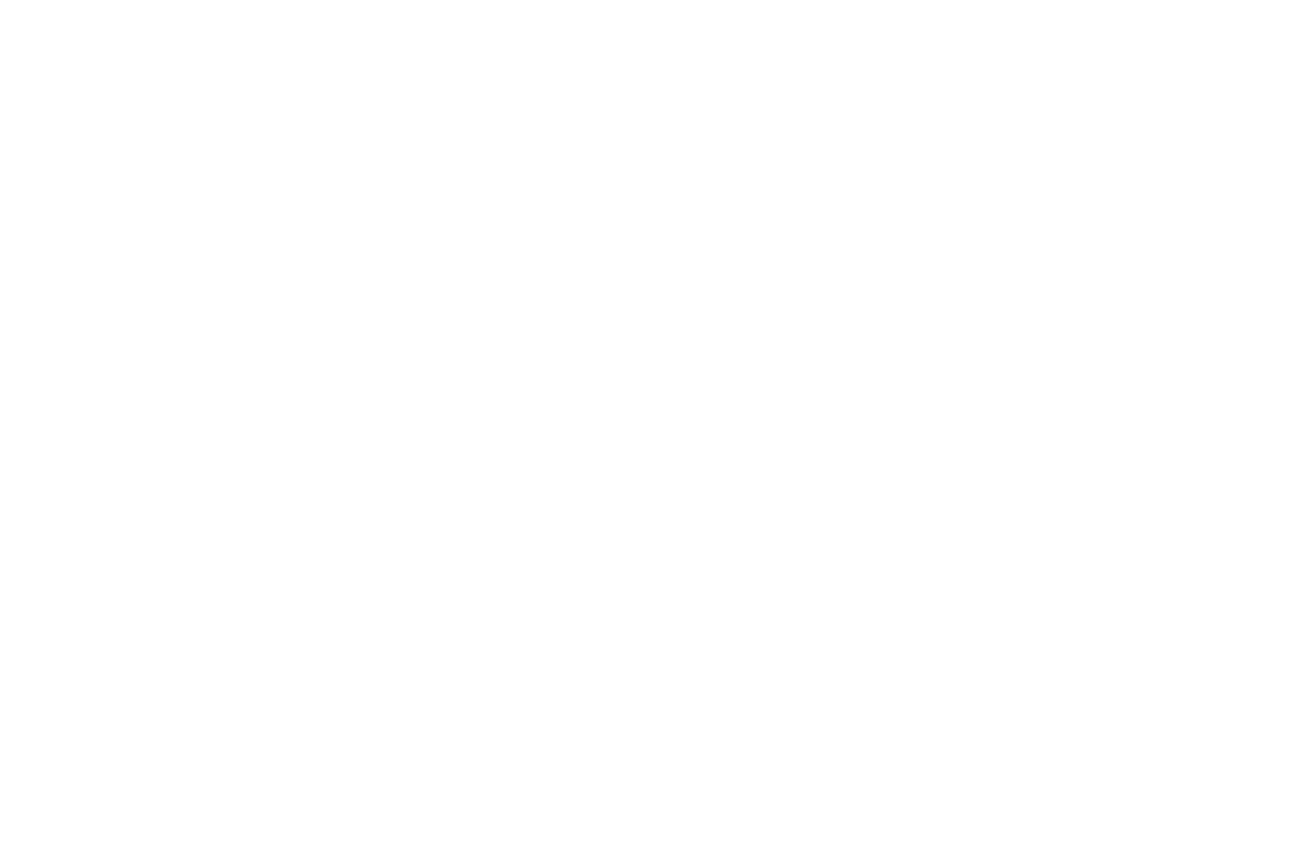 採用実績